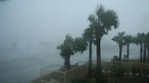 Hurricane Michael Eyewall Stock Footage 102910526
