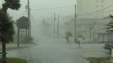 Hurricane Michael eyewall winds Stock-Footage 96352924