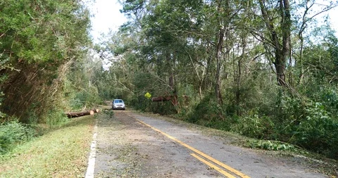 Hurricane Michael Stock Footage 99028318