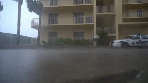 Hurricane Michael high wind Stock Footage 96391384