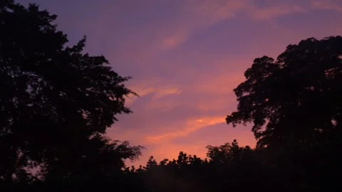 Hurricane Milton-Right to Left Pan Trees Sunset Stock Footage 287521826