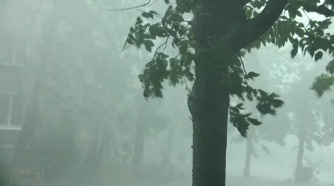 Hurricane in Moscow Stock Footage 7759925