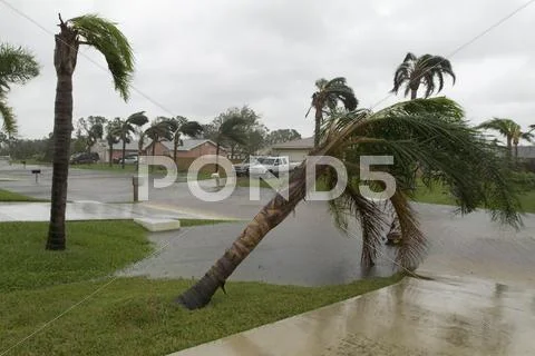 Hurricane Stock Photos
