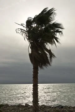 Hurricane Stock Photos