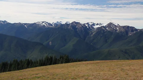 Hurricane Ridge Stock Footage 32481085