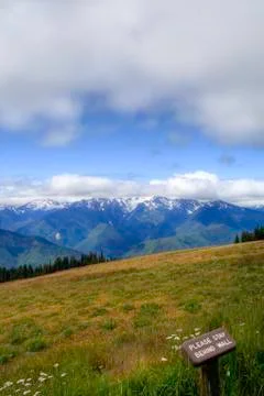 Hurricane Ridge 스톡 사진