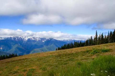 Hurricane Ridge Stock Photos