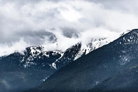 Hurricane Ridge Stock Photos
