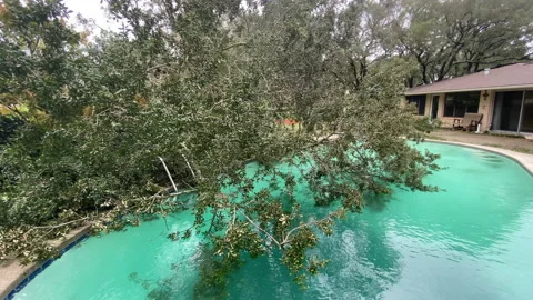 Hurricane Sally tree damage Stock Footage 139600898