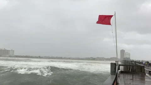 Hurricane Sally wind waves Stock-Footage 139599368