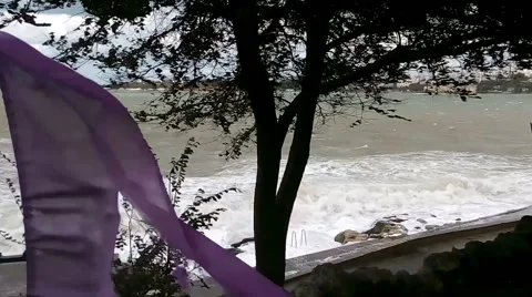 Hurricane in the seaside town Video stock 42310224