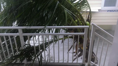 Hurricane Storm Surge Video stock 97295350