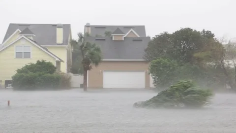 Hurricane Storm Surge Stock Footage 103287474