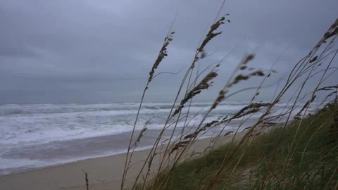 Hurricane Surf 库存影片 241282878