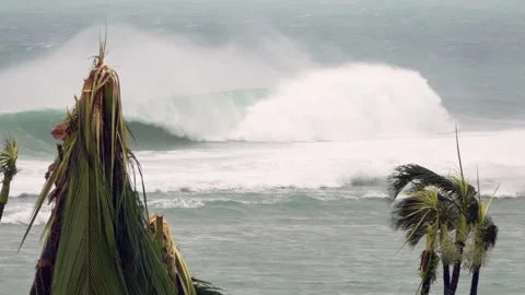 Hurricane Waves pounding shore Stock Footage 243204446