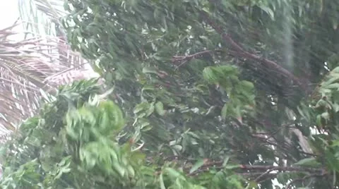 Hurricane Weather Stock-Footage 10902473