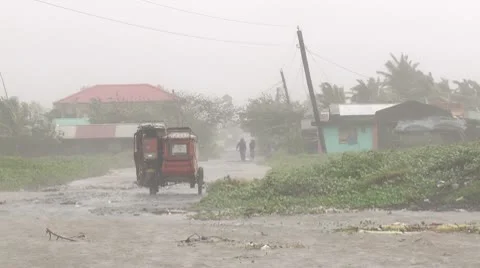 Hurricane Wind And Rain Batters Vehicle Stock Footage 8998001