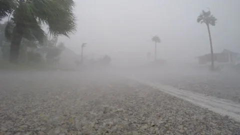 Hurricane wind and rain blasts storm chaser Stock Footage 80716849