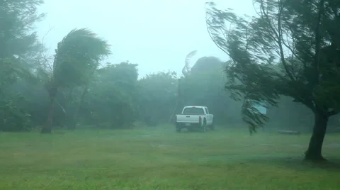 Hurricane wind and rain Stock Footage 50303407