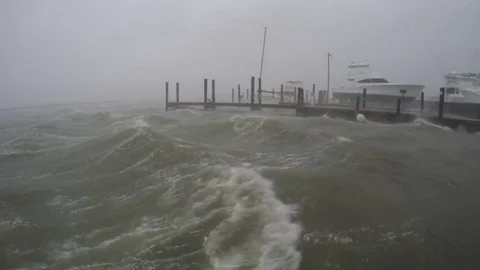 Hurricane wind and waves, marina boats Video stock 80717245