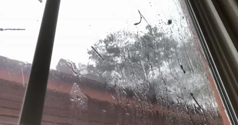 Hurricane Wind blowing tree and rain hitting window during storm POV Stock Footage 187779251