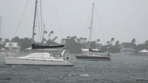 Hurricane wind blows across anchorage Stock Footage 165078253