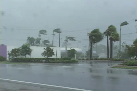Hurricane Wind Stock Footage 26947364