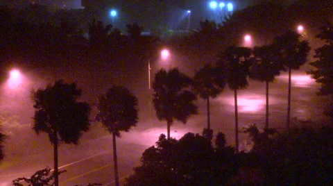 Hurricane wind rain with Palm Trees Stock-Footage 40868962