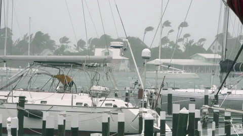 Hurricane wind - securing the sailboat Stock Footage 165079969