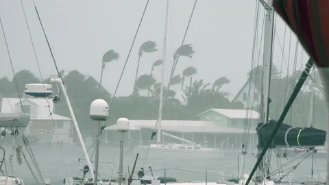 Hurricane wind whips through moored sailboats Stock Footage 165073566