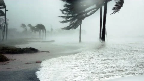 Hurricane winds along the coast of Florida Stock Footage 168437223