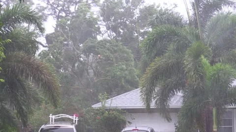 Hurricane Winds and Rain in Trees Stock Footage 135043490