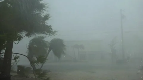 Hurricane winds blow through subdivision Stock Footage 220217761