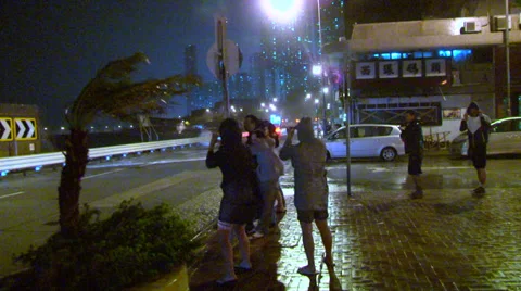 Hurricane Winds Stock Footage 30574419