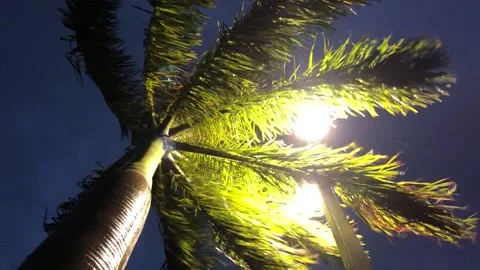 Hurricane Winds Stock Footage 172335489