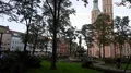 Hurricane Xavier storm damage several fallen trees in Brunswick - Braunschweig 4k or 4k+ Resolution