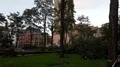 Hurricane Xavier storm damage several fallen trees in Brunswick - Braunschweig 4k or 4k+ Resolution