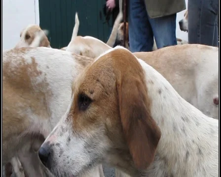 Hurry up! Stock Footage 1000709