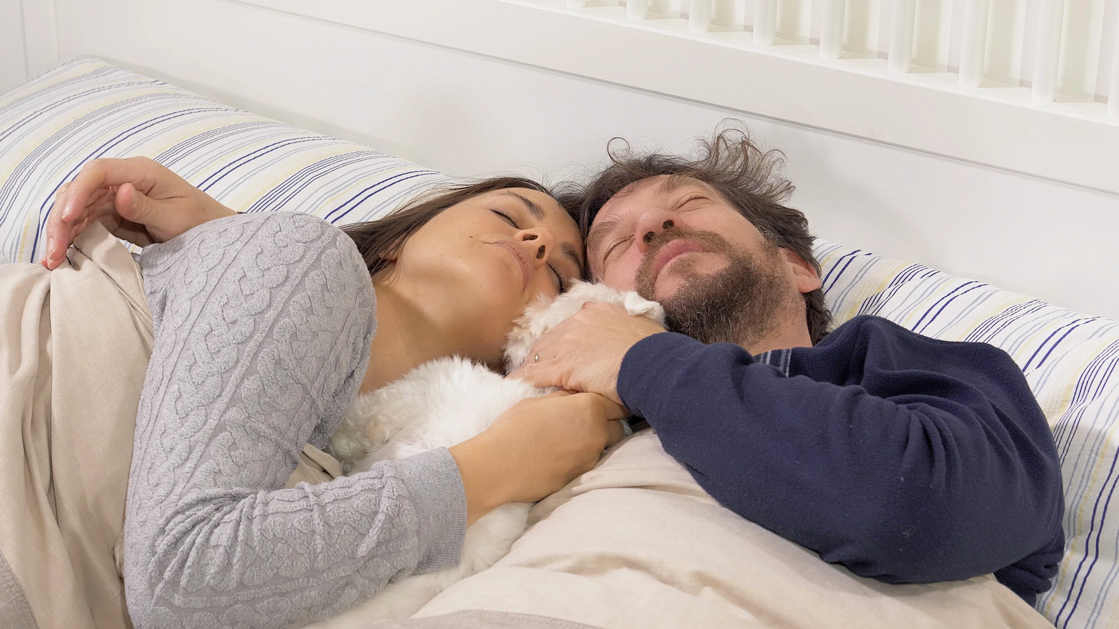 Husband and wife playing in bed with little puppy maltese dog 4K tracking  sho