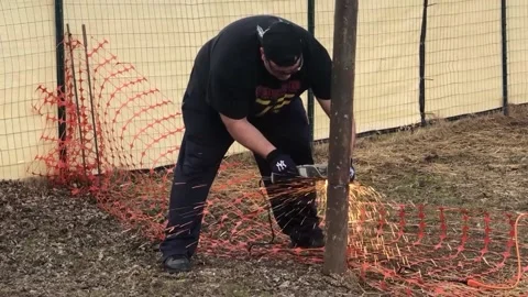 Husband Cuts Down Pole to Save Starling, Vernon, New York, USA - 21 Apr 2022 Stock Footage 205424736