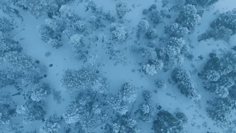 Hushed snowy river corridor captured through slowmotion drone footage Stock Footage 321435151