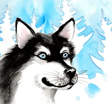 Husky dog head Stock Illustration
