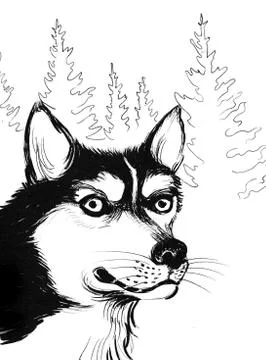 Husky dog Illustrazione stock