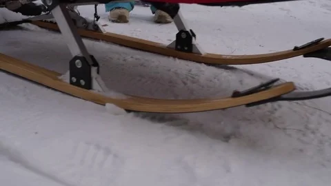 Husky in harness 스톡 동영상 85072389