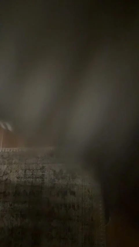 Husky Has a Knife, Gresham, Oregon, USA - 23 Oct 2025 Stock Footage 321154794