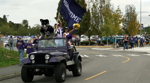 Husky, Mascot, Dawg, Tailgate Party, Football, College Football Stock Footage