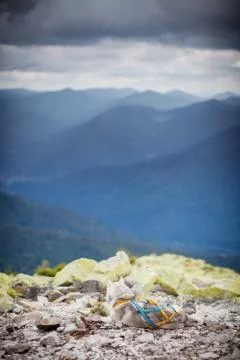 Husky in the mountains Stock Photos
