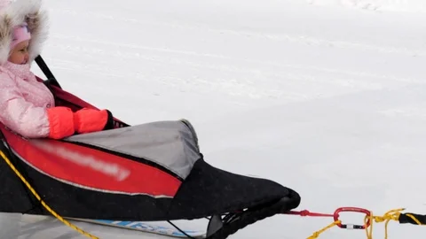 Husky pulling on the sleigh of a child Video stock 103294687