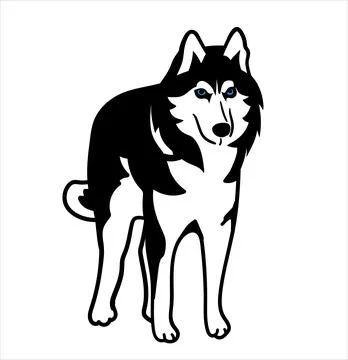 Husky siberian dog simple vector sketch illustration Stock Illustration