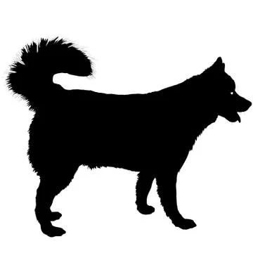 Husky Silhouette Stock Illustration